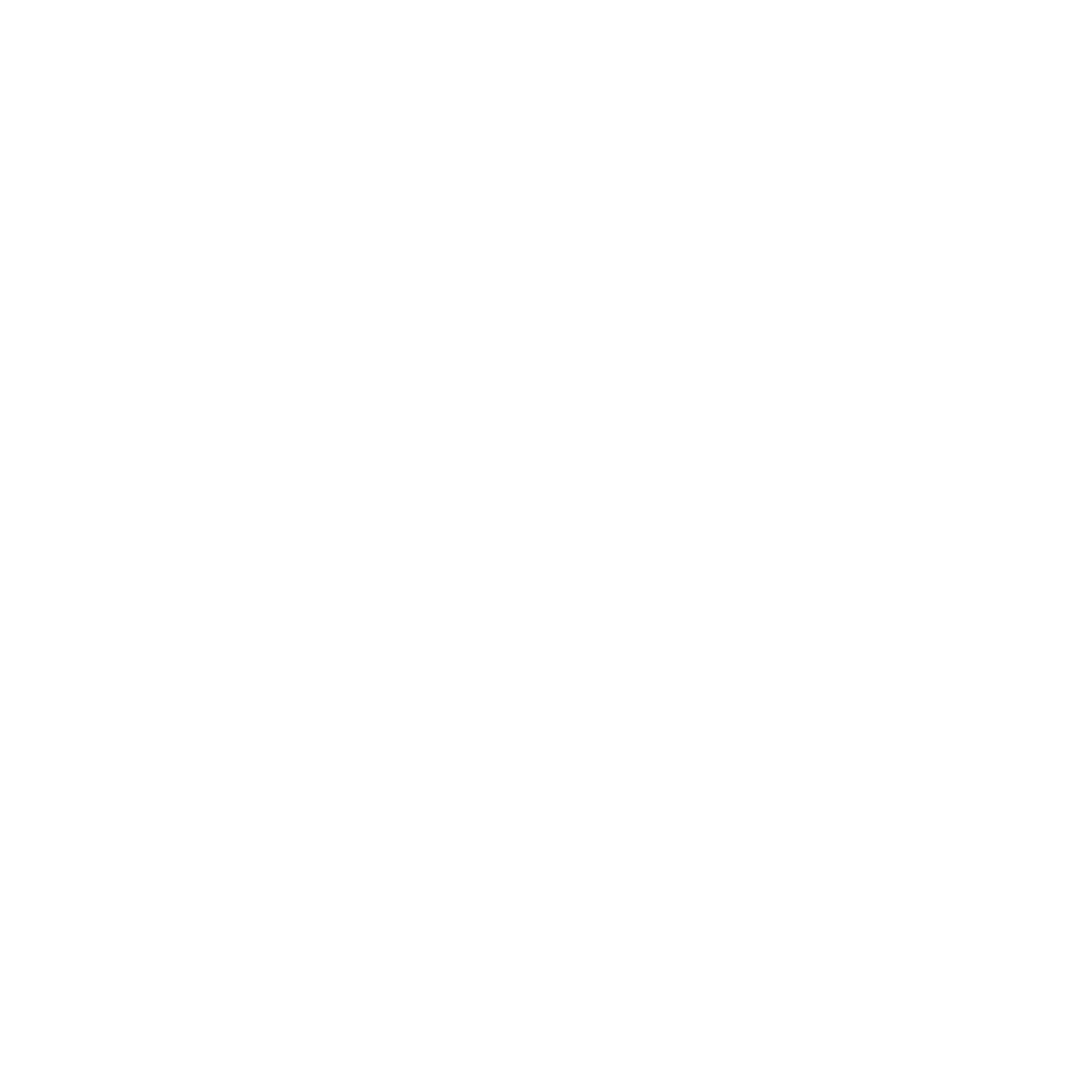 Logo Paypal - Shop Guidicar