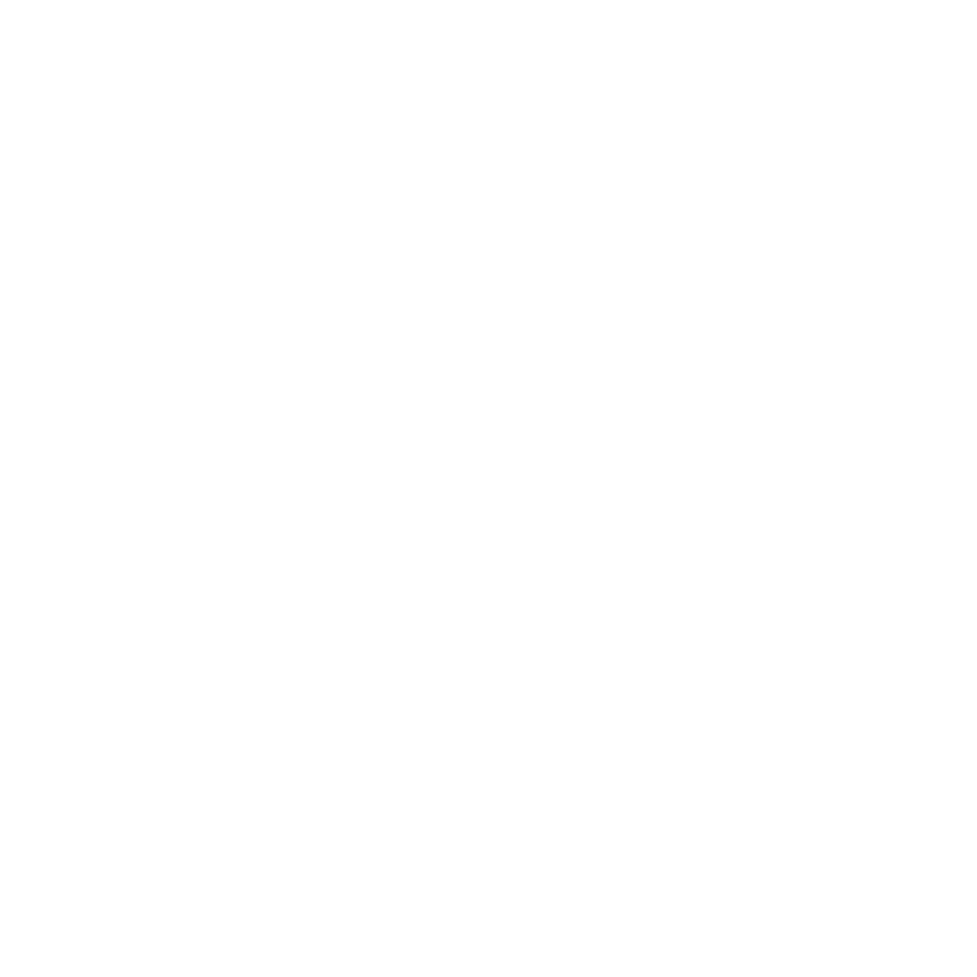 Logo VISA - Shop Guidicar